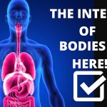 Video> The Internet of Bodies
